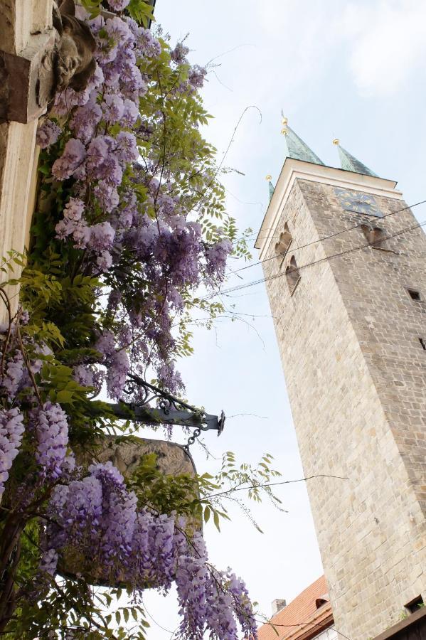 Penzion Kamenne Slunce Telč المظهر الخارجي الصورة